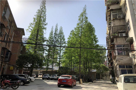 卫生间渗水到隔壁卧室怎么处理